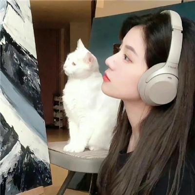 我爱喵星人