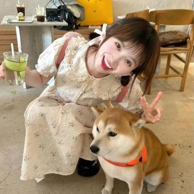 随风追寻
